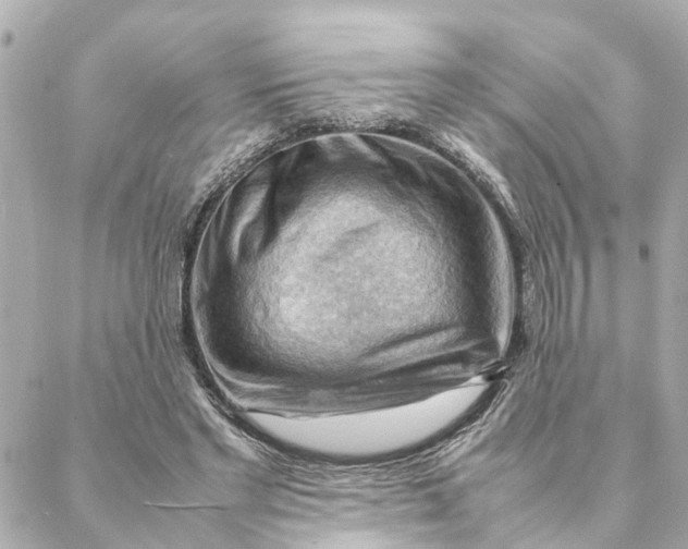 X0000088370493200706121124