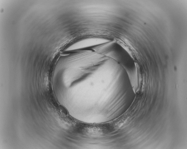 X0000088370500200706121123