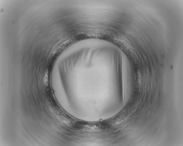 X0000088370502200706121123