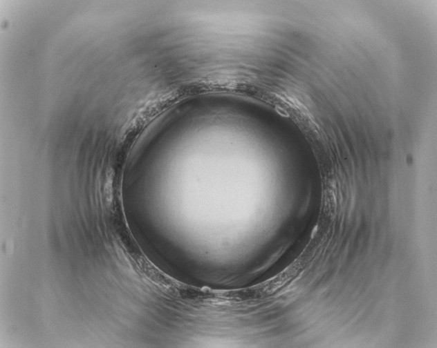 X0000088370504200706121123