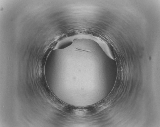 X0000088370508200706121123