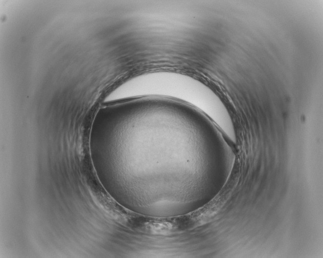X0000088370512200706121123