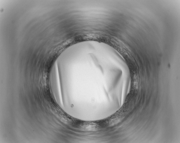 X0000088370514200706121123