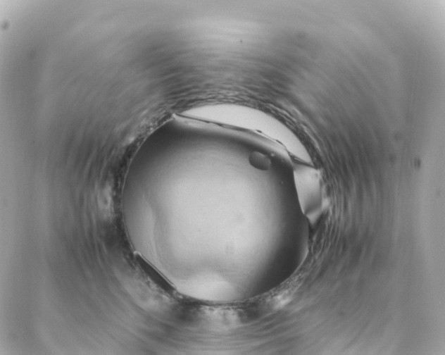 X0000088370520200706121123