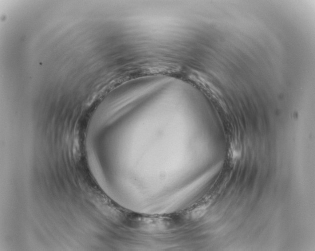 X0000088370524200706121123