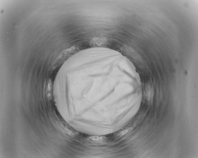 X0000088370526200706121123