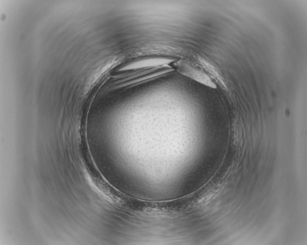 X0000088370538200706121122