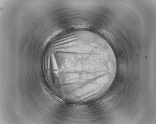 X0000088370539200706121122
