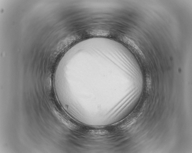 X0000088370541200706121122