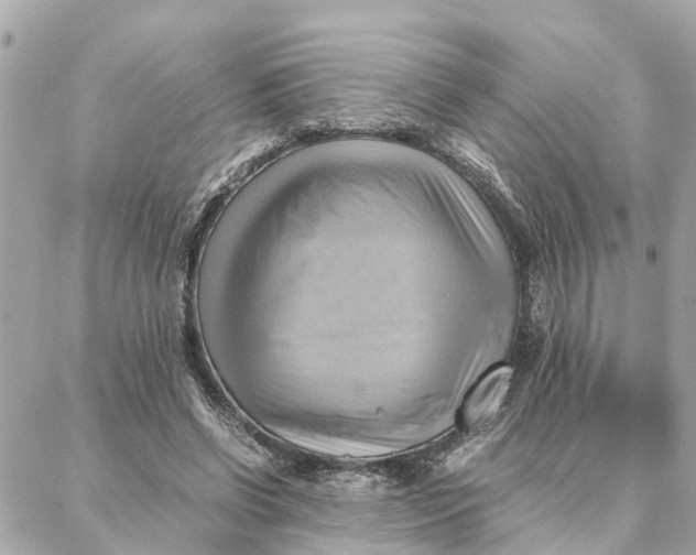 X0000088370542200706121122