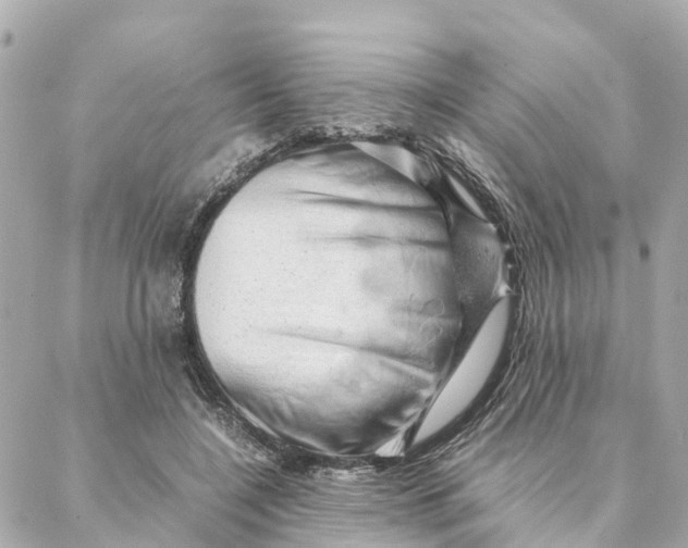 X0000088370548200706121123