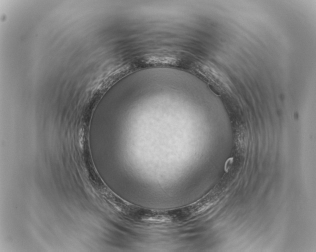 X0000088370551200706121123
