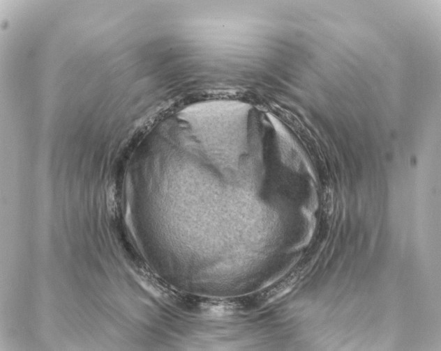 X0000088370564200706121123
