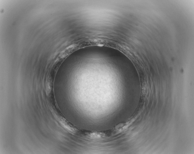 X0000088370566200706121123