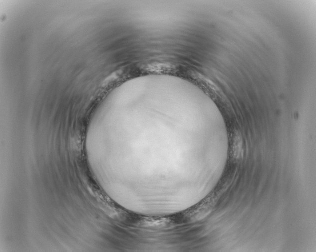 X0000088370569200706121123