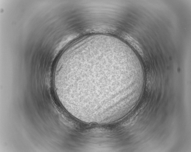 X0000088370578200706121122