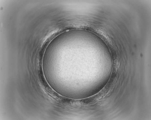 X0000088370587200706121122