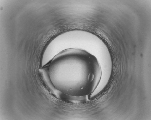 X0000088370593200706121122