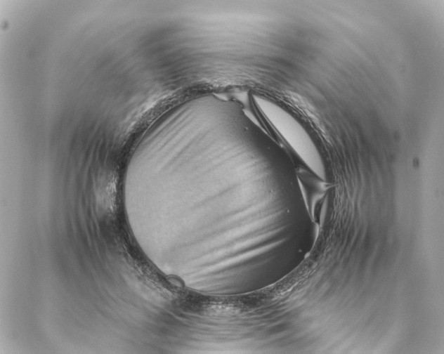 X0000088370596200706121122