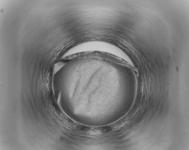 X0000088370604200706121122