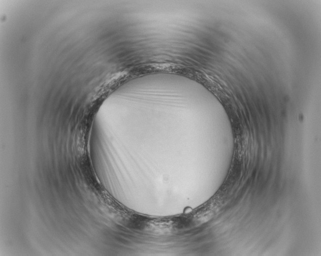 X0000088370606200706121122