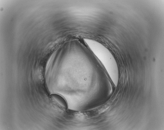 X0000088370616200706121122