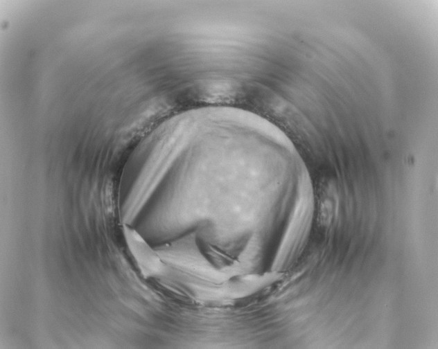 X0000088370620200706121121