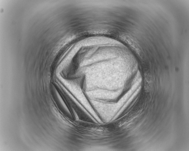 X0000088370631200706121121