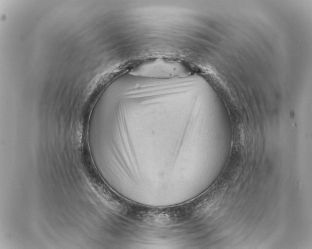 X0000088370640200706121121