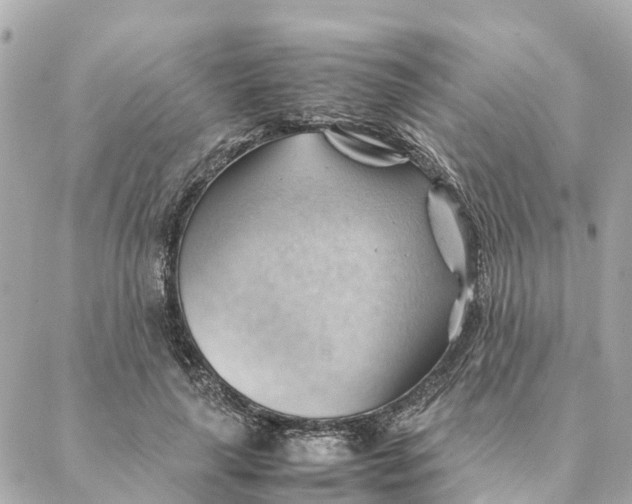 X0000088370643200706121121