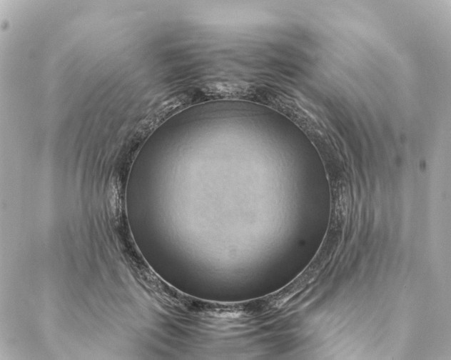 X0000088370651200706121121