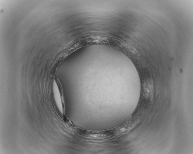 X0000088370657200706121121