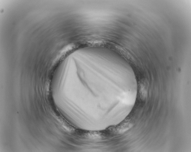 X0000088370668200706121121