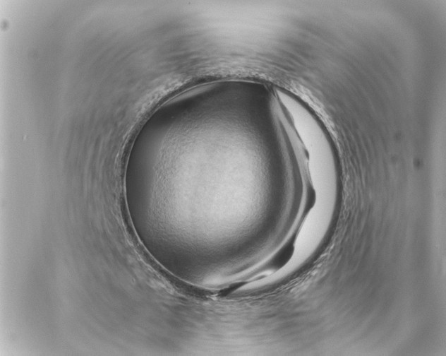 X0000088370673200706121121