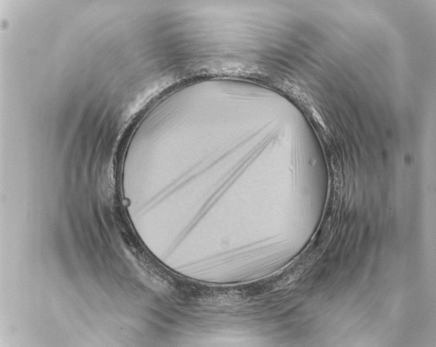 X0000088370674200706121121