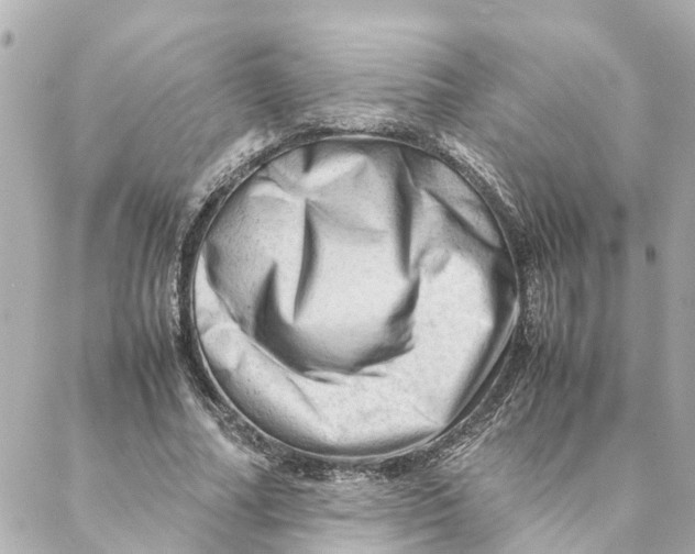 X0000088370682200706121120