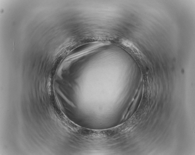 X0000088370696200706121120