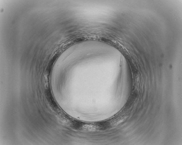X0000088370699200706121120