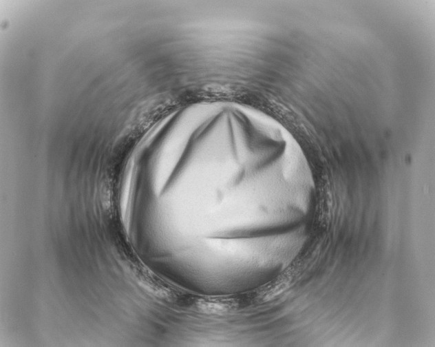 X0000088370706200706121120
