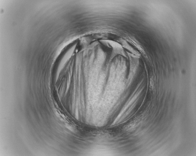 X0000088370724200706121119