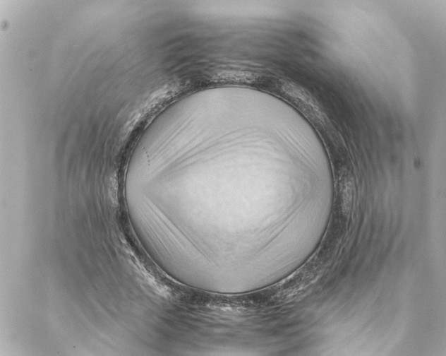 X0000088370729200706121119
