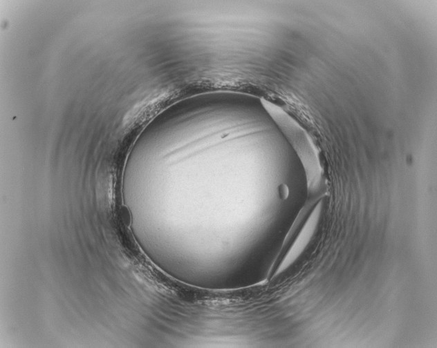 X0000088370740200706121119