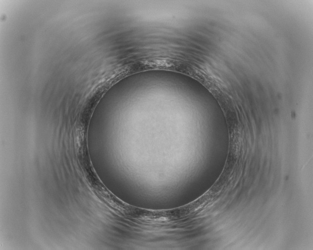X0000088370747200706121120