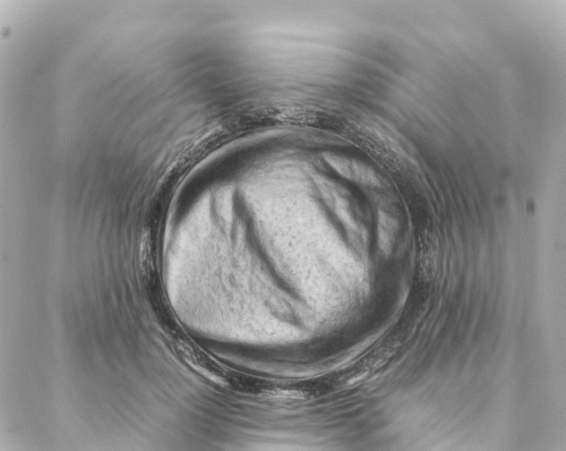 X0000088370748200706121120