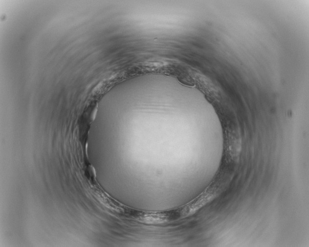 X0000088370758200706121120