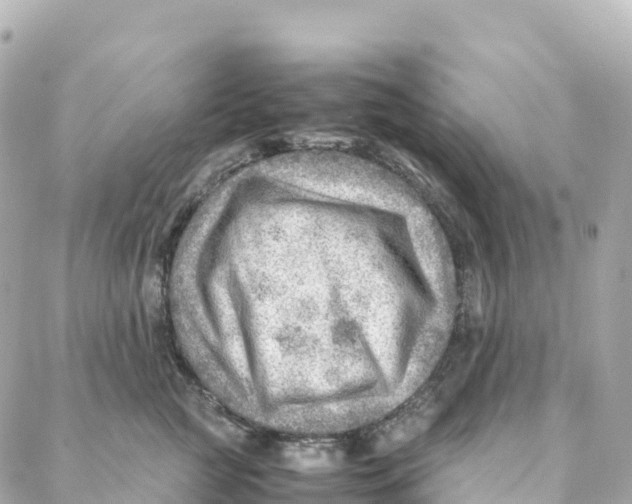 X0000088370761200706121120