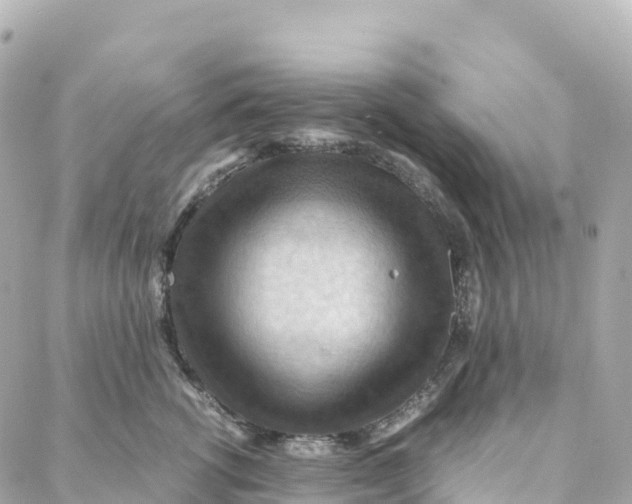 X0000088370762200706121120