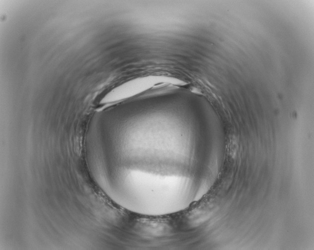 X0000088370763200706121120