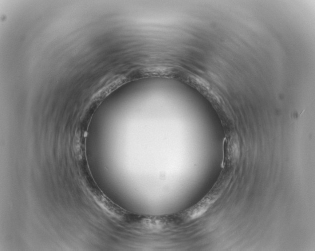 X0000088370764200706121120