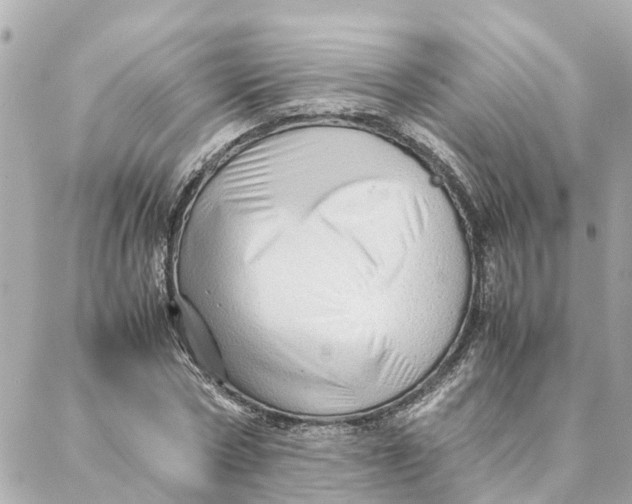 X0000088370778200706121119